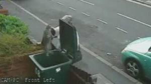 cctv-tv